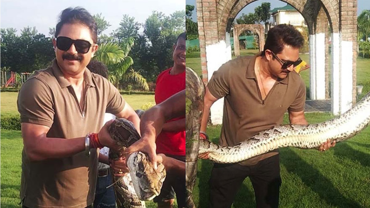 শুটিং সেটে ঢুকে পড়ল অজগর