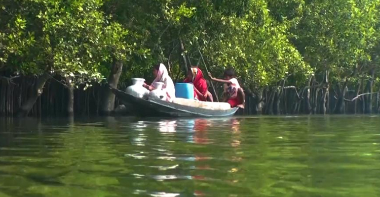 পানির সঙ্গে লড়ছে যেসব শহর