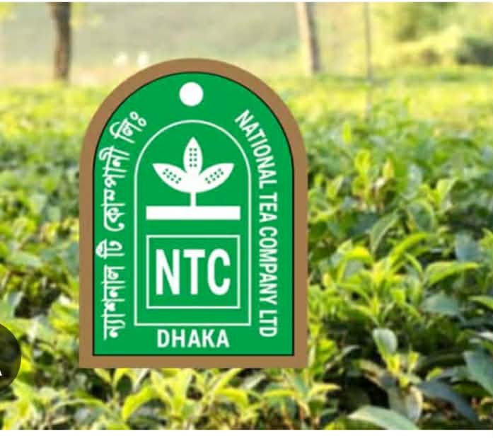 লোকসান-ঋণের ভারে অস্তিত্ব সংকটে এনটিসির ১২ চা বাগান