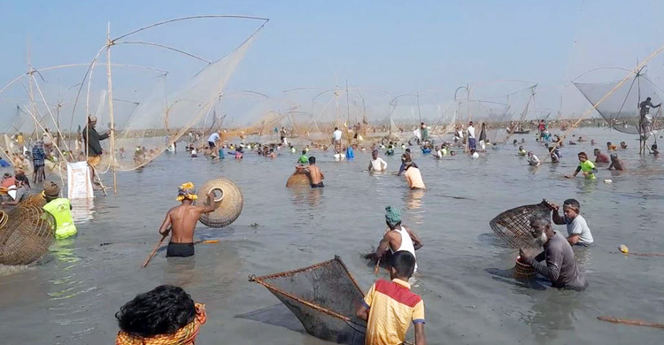 বানিয়াচংয়ে বড়য়ান বিলে হয়ে গেলো পলো উৎসব