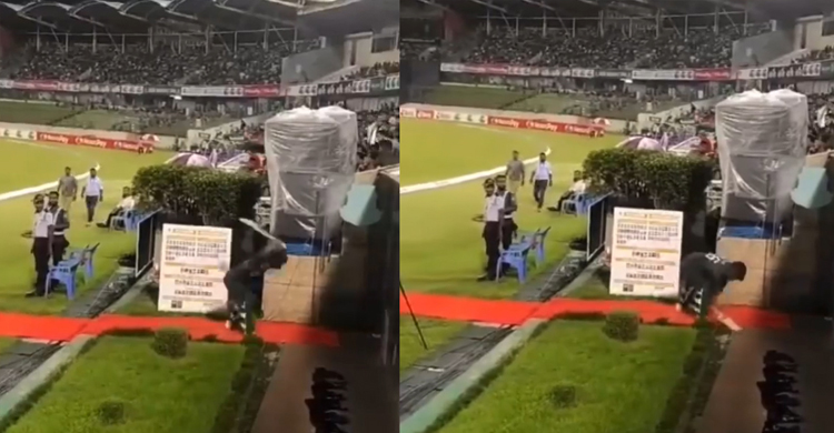 আউটের পর নিজের ব্যাট ভাঙলেন লিটন!
