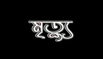 হবিগঞ্জে নানার মরদেহ দেখতে গিয়ে নাতির মৃত্যু
