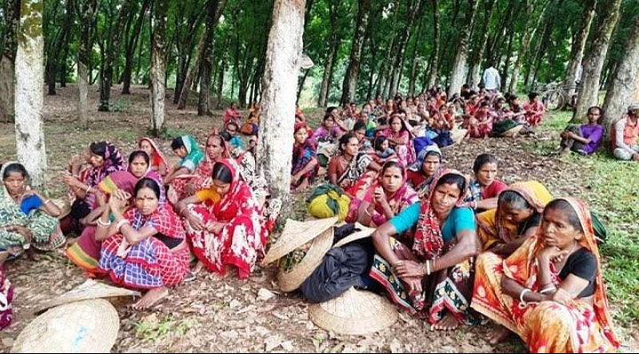গোয়াইনঘাটে গুলনী চা-শ্রমিকদের তৃতীয় দিনের কর্মবিরতি