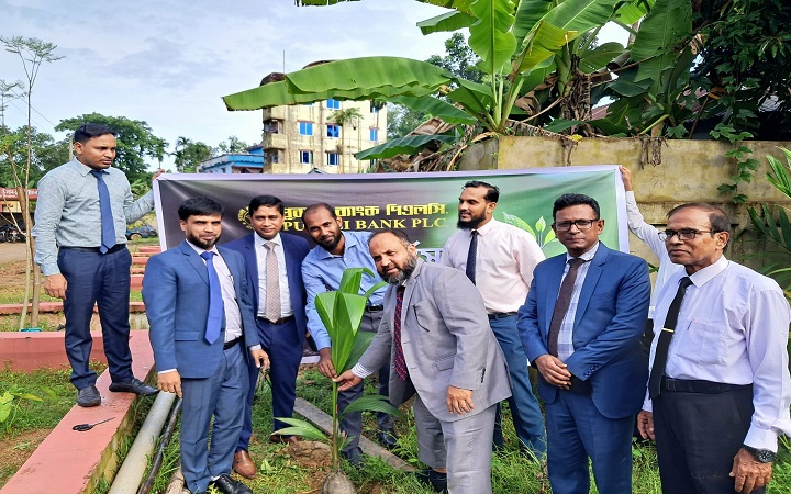 বড়লেখা আদালত চত্বরে পুবালী ব্যাংকের উদ্যোগে ফলজ বৃক্ষের বাগান