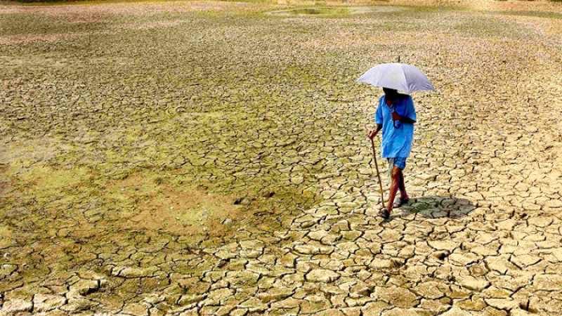 ২০২৪ সালে রেকর্ড গরমে পুড়বে বিশ্ব