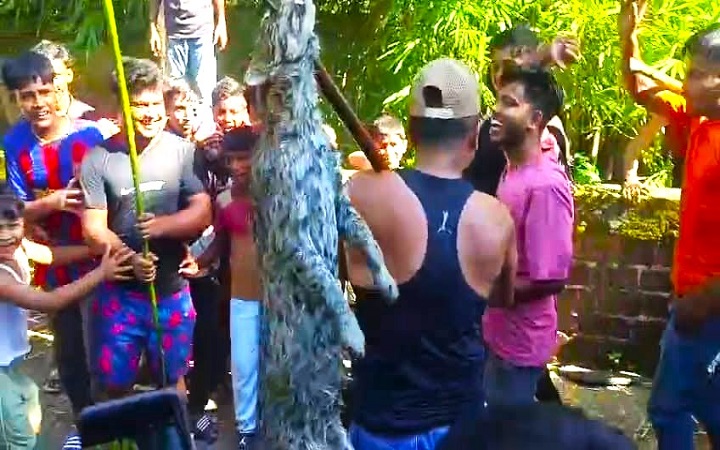 জগন্নাথপুরে বন বিভাগের সামনেই পি*টিয়ে হ*ত্যা করা হলো মেছো বাঘ