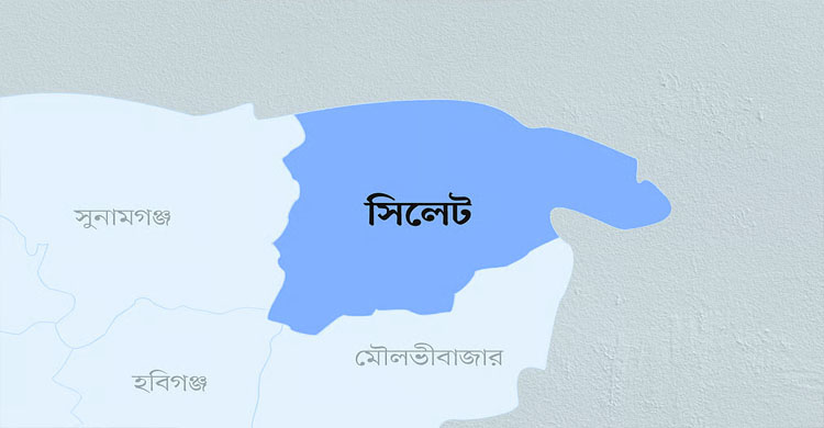 সিলেটে ২৪ ঘণ্টায় যে ভাইরাস সন্দেহে হাসপাতালে ১২১ জন