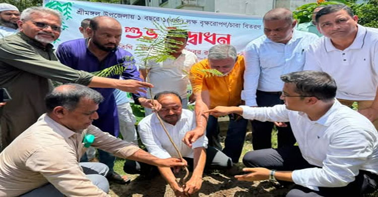 শ্রীমঙ্গলে এক লাখ বৃক্ষরোপণ কর্মসূচির উদ্বোধন
