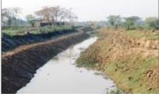 আজমিরীগঞ্জে ফসল রক্ষা বাঁধ নির্মাণে ধীরগতি ,কৃষকদের দুশ্চিন্তা 