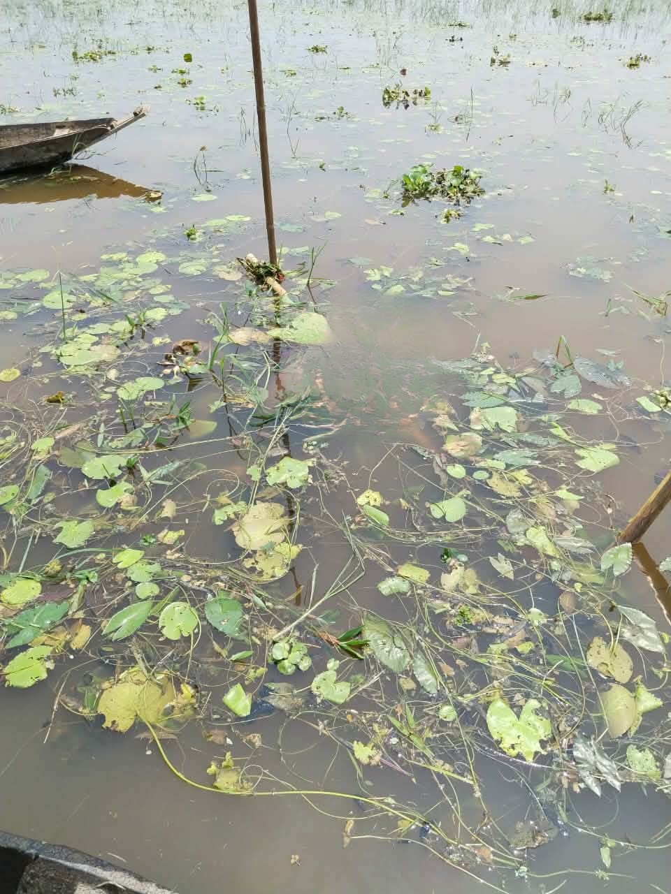 ছাতকের হাওর থেকে এক ব্যক্তির ম*রদেহ উ*দ্ধার