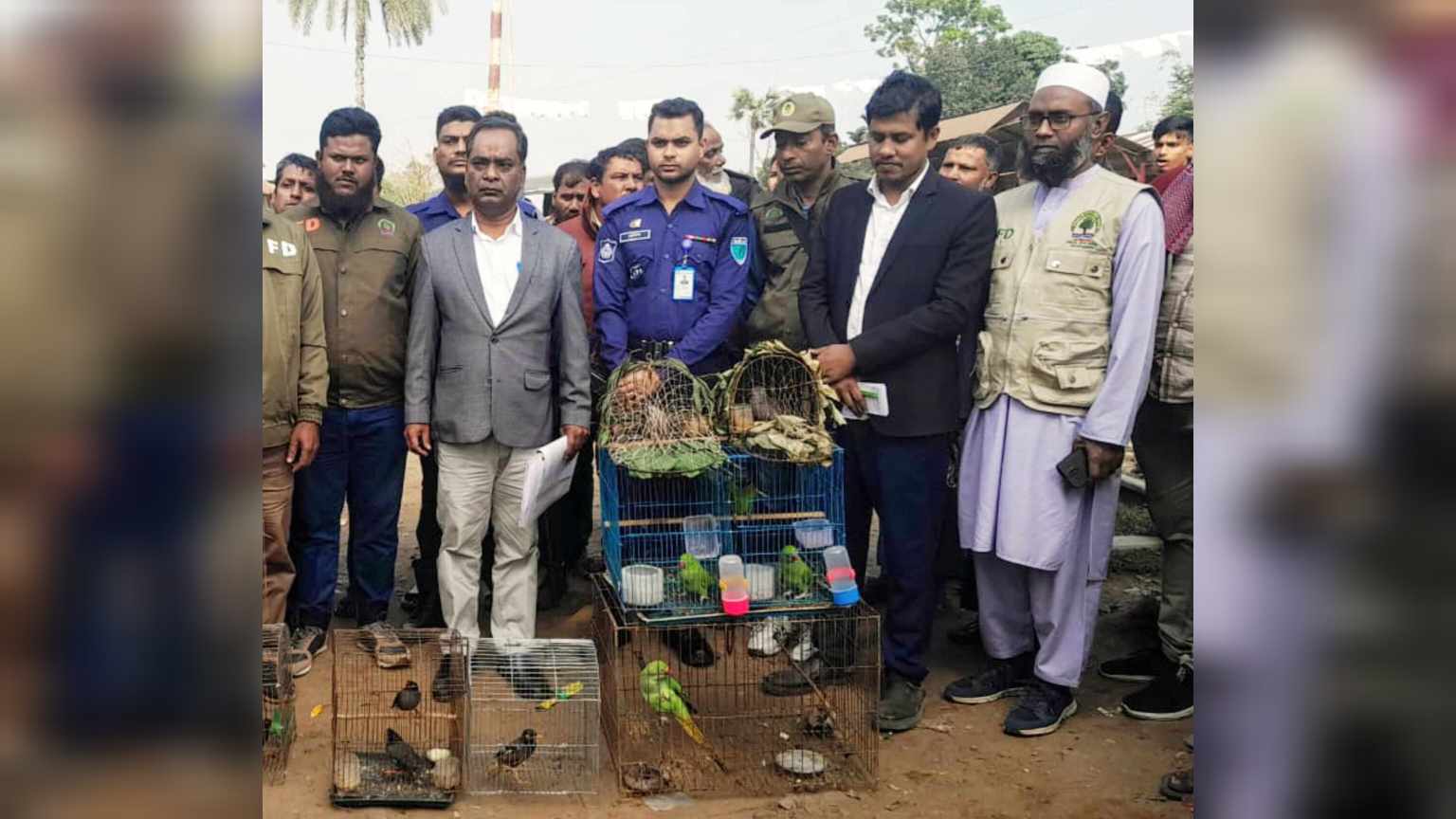 মাধবপুরে ১২টি পাখি উদ্ধার, অসংখ্য ফাঁদ জব্দ    