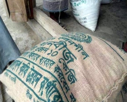 কমলগঞ্জে বিএডিসির ধান বীজ সরবরাহে লোকসানের অভিযোগ চাষিদের