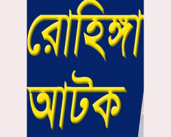 কমলগঞ্জে এক রোহিঙ্গা আটক