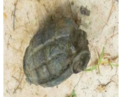 মাধবপুরে পুকুর থেকে গ্রেনেড উদ্ধার 