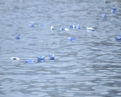 ৬ মাসে ভূমধ্যসাগরে ২৮৯ শিশুর মৃত্যু