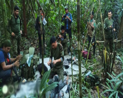 আমাজনে কীভাবে ৪০ দিন বেঁচে ছিল হারিয়ে যাওয়া ৪ শিশু