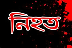 হবিগঞ্জে দুলাভাইয়ের কুড়ালের আঘাতে শালা নিহত