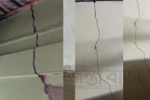 বিবিয়ানার ভূমিকম্প দাবিকে ‘না’ বললো যুক্তরাষ্ট্রের ভূতাত্ত্বিক জরিপ