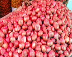 পেঁয়াজ রপ্তানি বন্ধ করলো ভারত