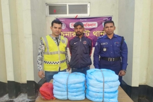 চুনারুঘাট সীমান্তে ১০ কেজি গাঁজাসহ যুবক গ্রেপ্তার