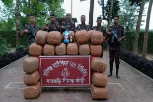 সাতছড়ি-তেলিয়াপাড়া সী*মান্তে ১৩৩ কেজি গাঁ*জা ও ১৮ বোতল ম*দ জ*ব্দ