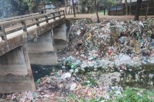 অস্তিত্ব সঙ্কটে নবীগঞ্জের শাখা 'বরাক নদী'
