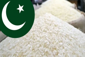 পা কি স্তা ন থেকে বেশি দামে চাল কিনছে বাংলাদেশ