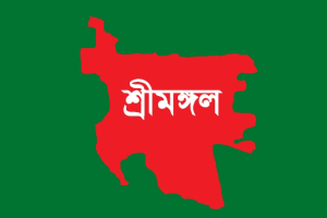 শ্রীমঙ্গলে বাস-পিকআপ সং'ঘর্ষে যুবক নি'হত