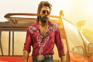 বাংলাদেশে হিন্দিতে মুক্তি পাবে ‘পুষ্পা ২’