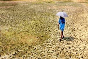 ২০২৪ সালে রেকর্ড গরমে পুড়বে বিশ্ব