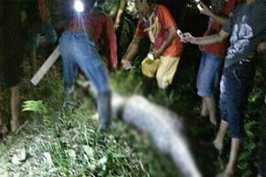 অজগরের পেটে মিলল কৃষকের ম র দে হ