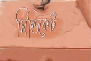 বাহুবলে বালু সিন্ডিকেটের থাবায় হুমকীর মুখে বসতভিটা
