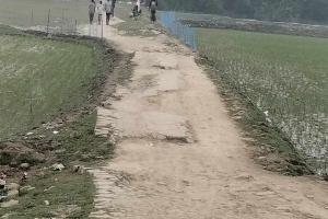 লাখাই অভয় চরণ রাধা চরণ উচ্চ বিদ্যালয়ের রাস্তার বেহাল দশা, দেখার কেউ নেই!