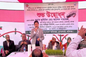 চুনারুঘাটে রাইস ট্রান্সপ্লান্টারের মাধ্যমে চারা রোপণ উদ্বোধন