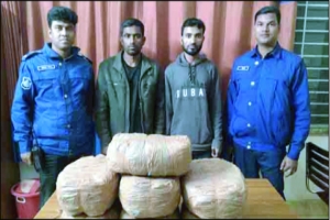মাধবপুরে ১৪ কেজি গাঁজাসহ দুই মাদক কারবারি আটক