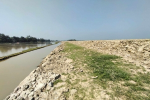 আজমিরীগঞ্জে হাওরে ফসল রক্ষা বেড়িবাঁধ সংস্কার ও নির্মাণে ধীরগতি