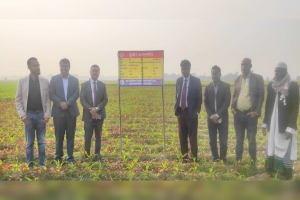 লাখাইয়ে কৃষি উন্নয়ন প্রকল্প পরিদর্শনে অতিরিক্ত পরিচালক