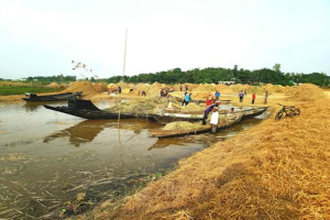 সরকারের সহায়তা কৃষক তালিকায় নানা দুর্নীতি ও অনিয়মের অভিযোগ