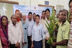 গোয়াইনঘাটের আলীরগাঁওয়ে বৃক্ষরোপণ ও চারা বিতরণ গোয়াইনঘাটের আলীরগাঁওয়ে বৃক্ষরোপণ ও চারা বিতরণ