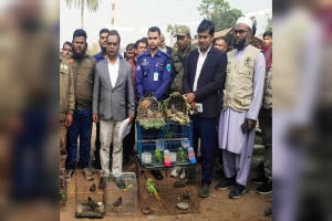 মাধবপুরে ১২টি পাখি উদ্ধার, অসংখ্য ফাঁদ জব্দ    