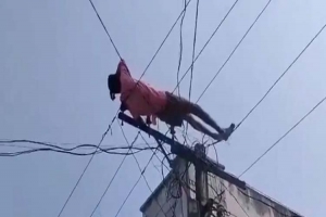 ম*দ কেনার টাকা দেয়নি মা, বি দ্যু তের তারের ওপর শুয়ে পড়ল ছেলে