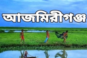 আজমিরীগঞ্জে সিএনজির ধা ক্কা য় ৭৫ বছরের বৃদ্ধা নি হ ত