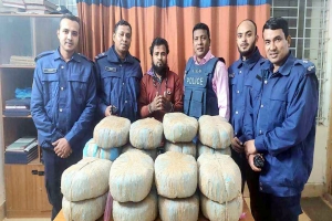 মাধবপুরে বিপুল পরিমাণ গাঁজা পাচারকালে যুবক গ্রেপ্তার 