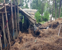 গোয়াল ঘরে আগুন, পুড়ে গেল ৮ গরু